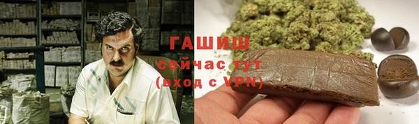 мет Дмитров