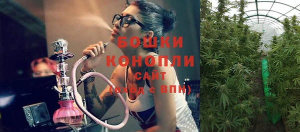 мет Дмитров