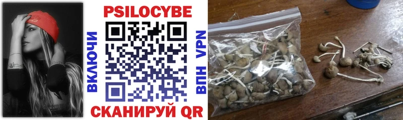 Псилоцибиновые грибы Cubensis  Купить закладки  Тольятти 